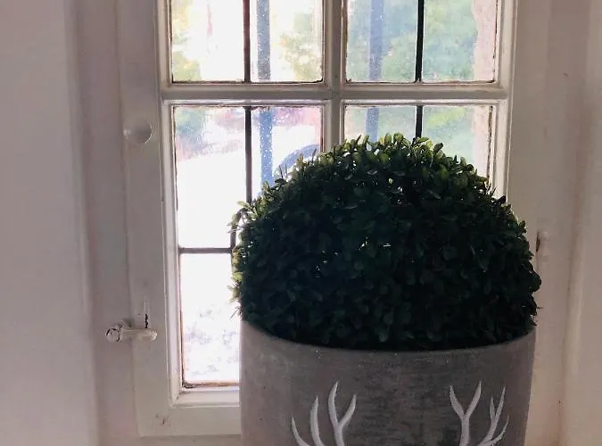 Waidhof Apartamento *